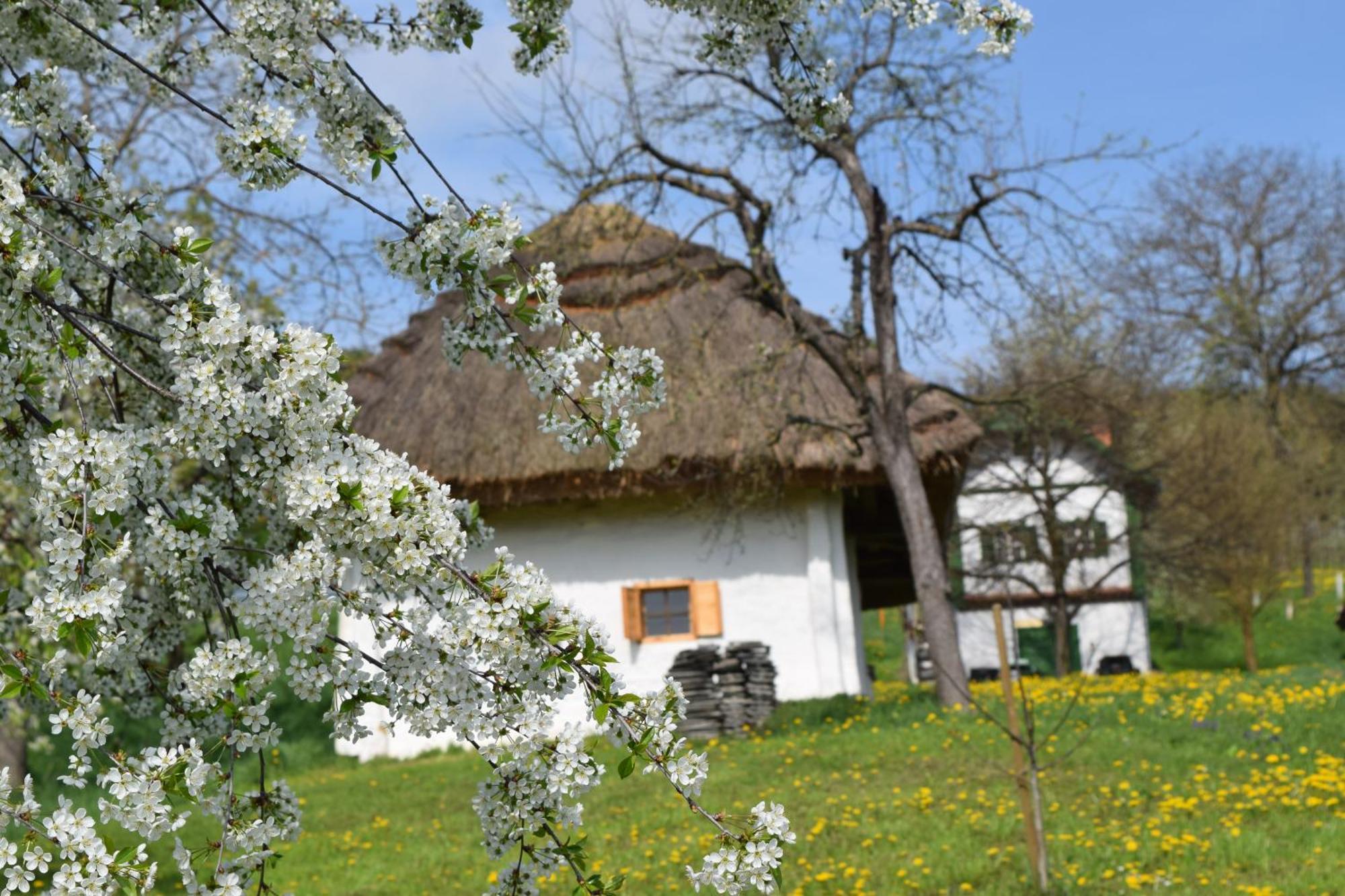 היליגנברון Genussgasthof & Hotel Beim Krutzler מראה חיצוני תמונה